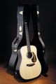 Takamine TF360SBG